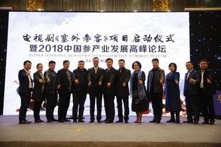 辽宁老总爆料新闻视频,揭秘企业内幕与行业真相  第1张