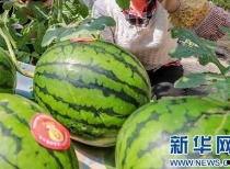 辽源吃瓜爆料视频最新消息,揭秘视频背后惊人真相! 第1张 辽源吃瓜爆料视频最新消息,揭秘视频背后惊人真相! 第1张